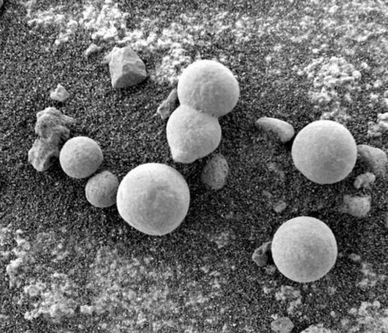 Mushrooms on Mars Is Figment of Imagination